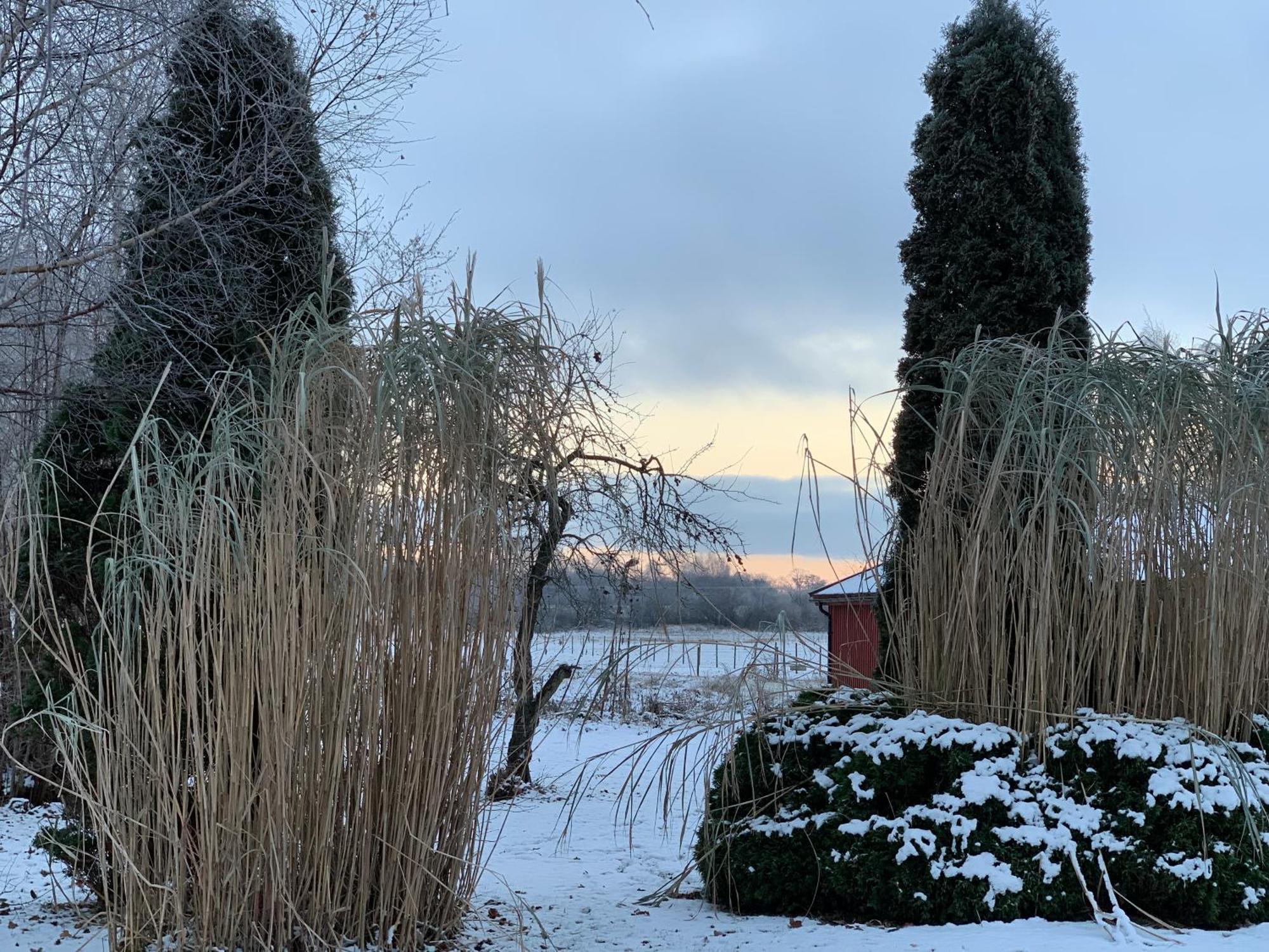 Villa Maria Garden Cottages, Helsingborg Zewnętrze zdjęcie