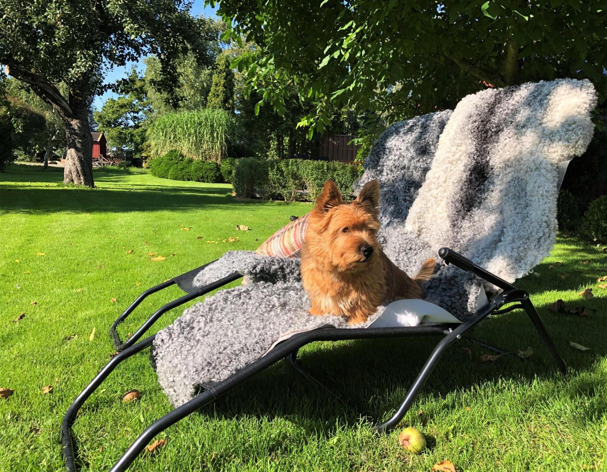 Villa Maria Garden Cottages, Helsingborg Zewnętrze zdjęcie