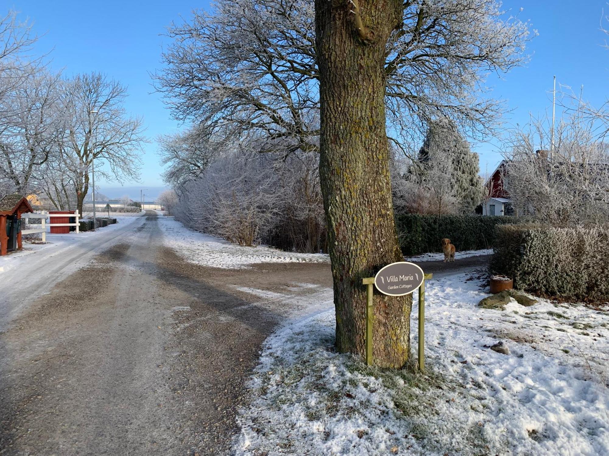 Villa Maria Garden Cottages, Helsingborg Zewnętrze zdjęcie